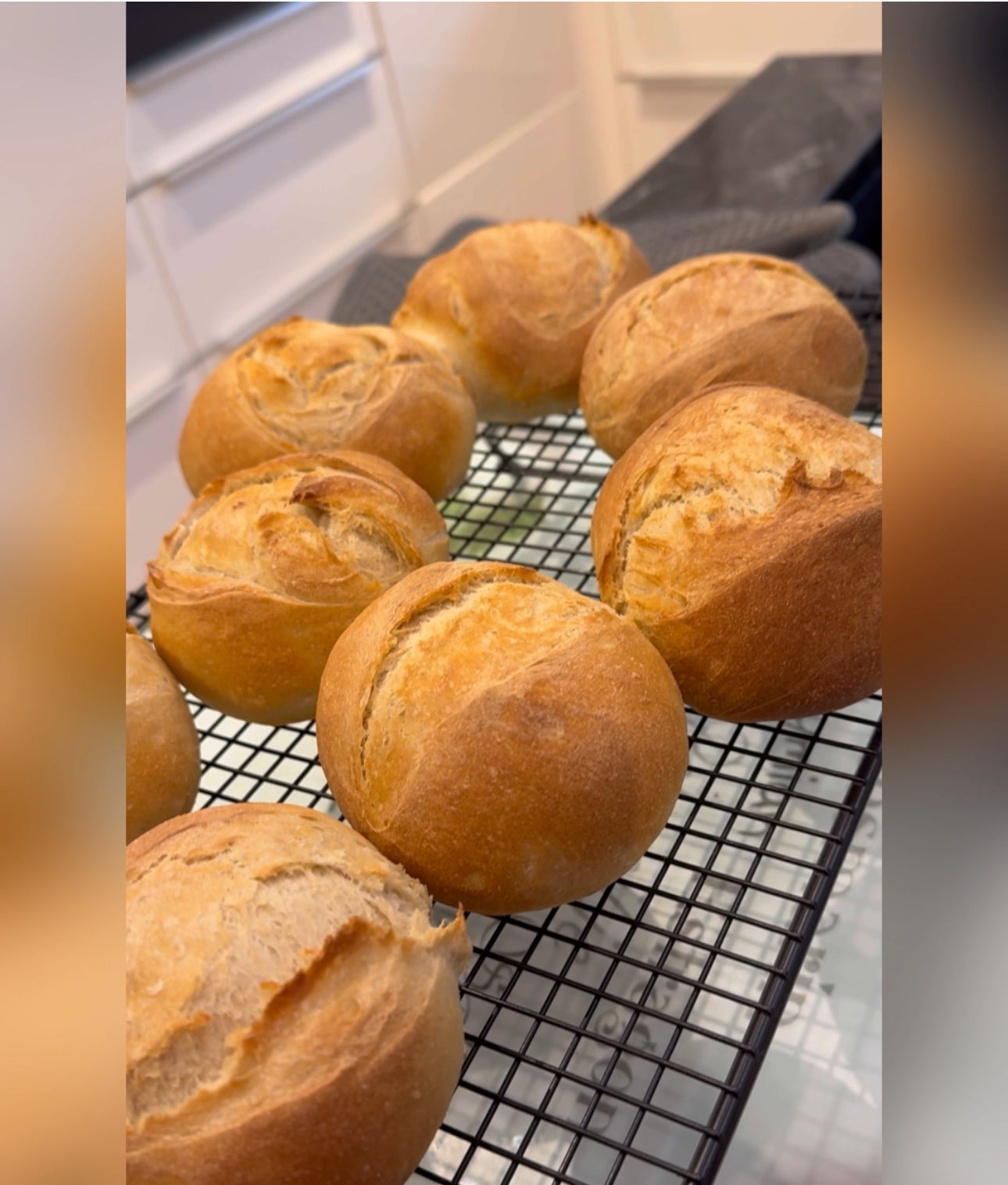 Röstmalz Backmalz-Original Bäckermalz-Färbemalz