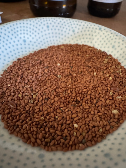 Fränkisches Bio-Leindotteröl-Kaltgepresst & Naturbelassen-frisch abgefüllt in 0,1 Glasflasche. Biokontrollstelle: DE-ÖKO-006