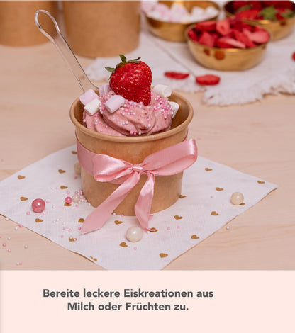 WunderCentix® Starter-Set "Softeis" für TM6, TM5