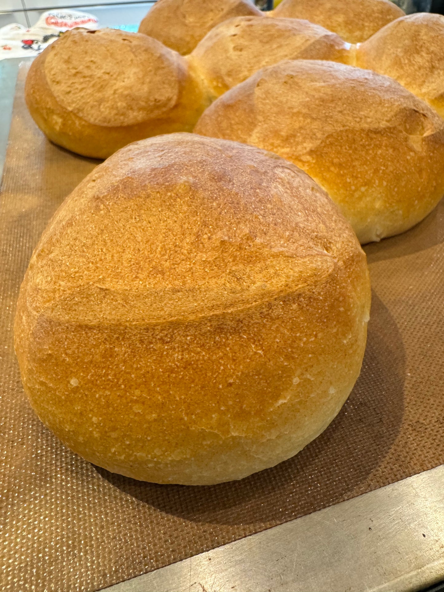 Weizenmehl Type 550. Frisch gemahlen, 1000g von Hand abgefüllt. Ausschließlich reiner Weizen aus kontrollierten-integriertem Anbau.