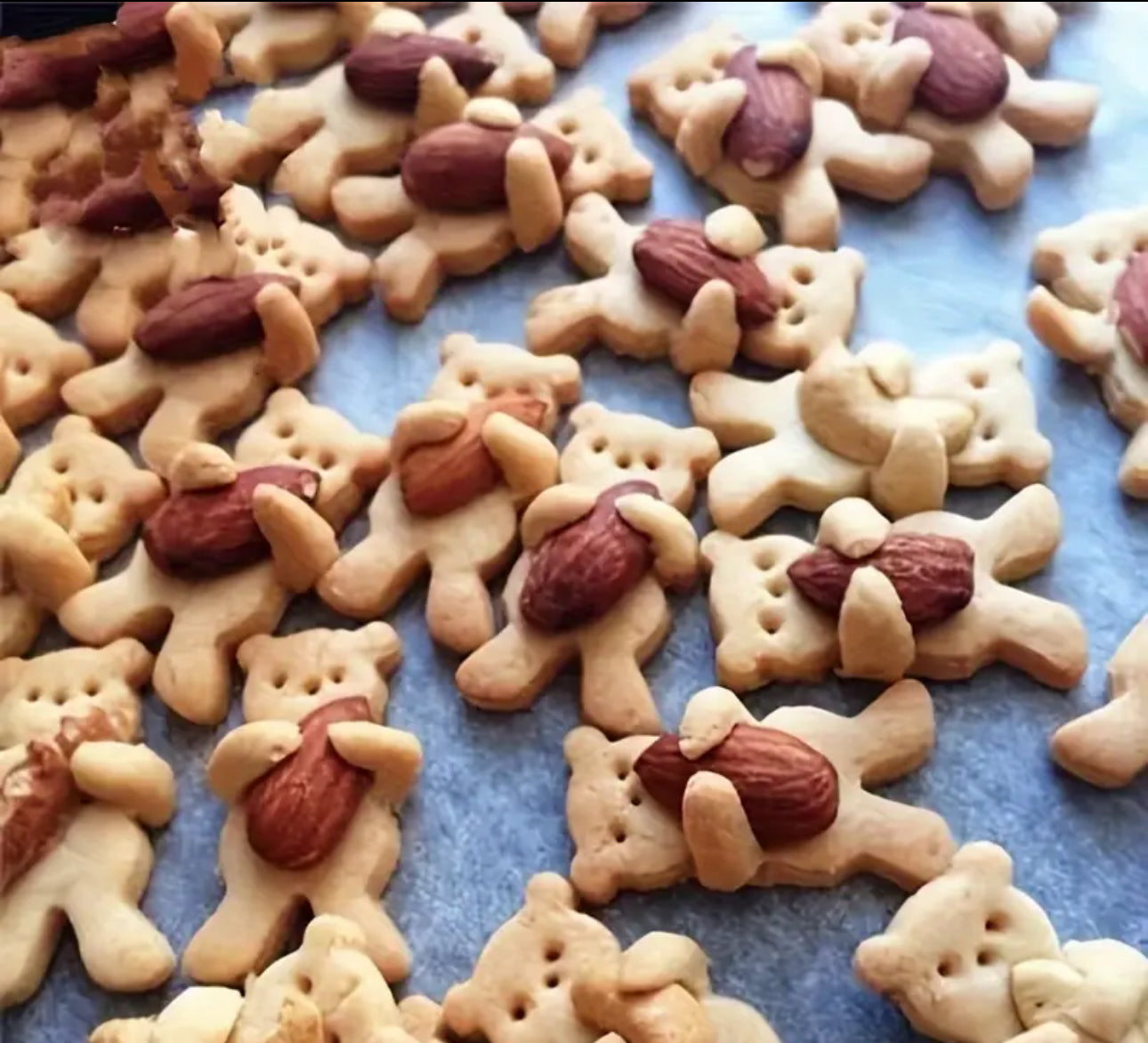 Bären-Ausstecher-4er Set