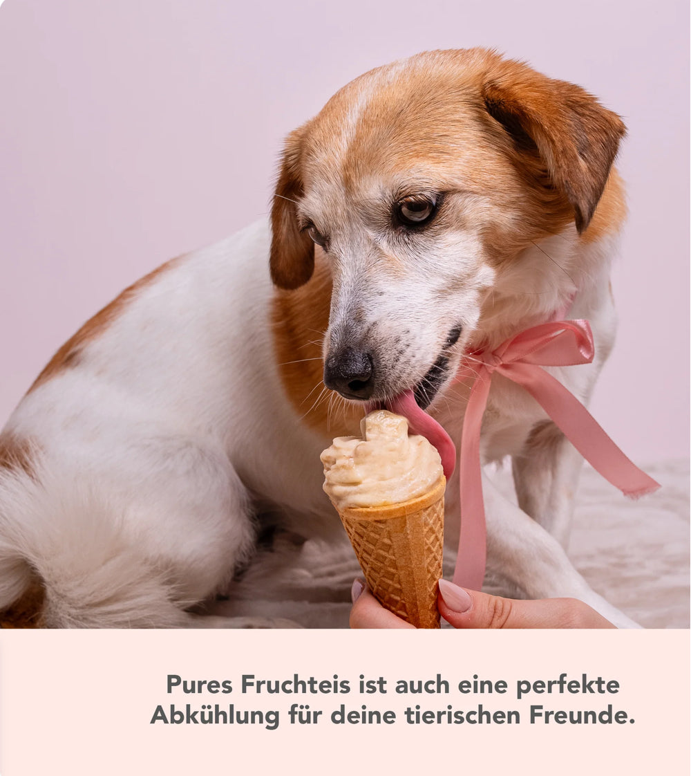 Softeis-Aufsatz für WunderCentix® für TM6, TM5 & Kitchenaid