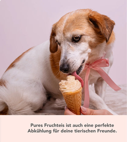 Softeis-Aufsatz für WunderCentix® für TM6, TM5 & Kitchenaid