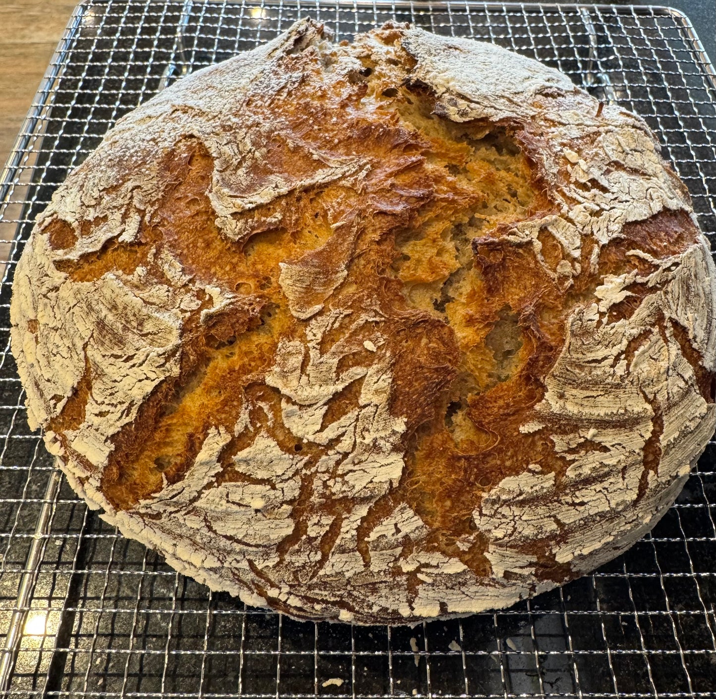 Röstmalz Backmalz-Original Bäckermalz-Färbemalz